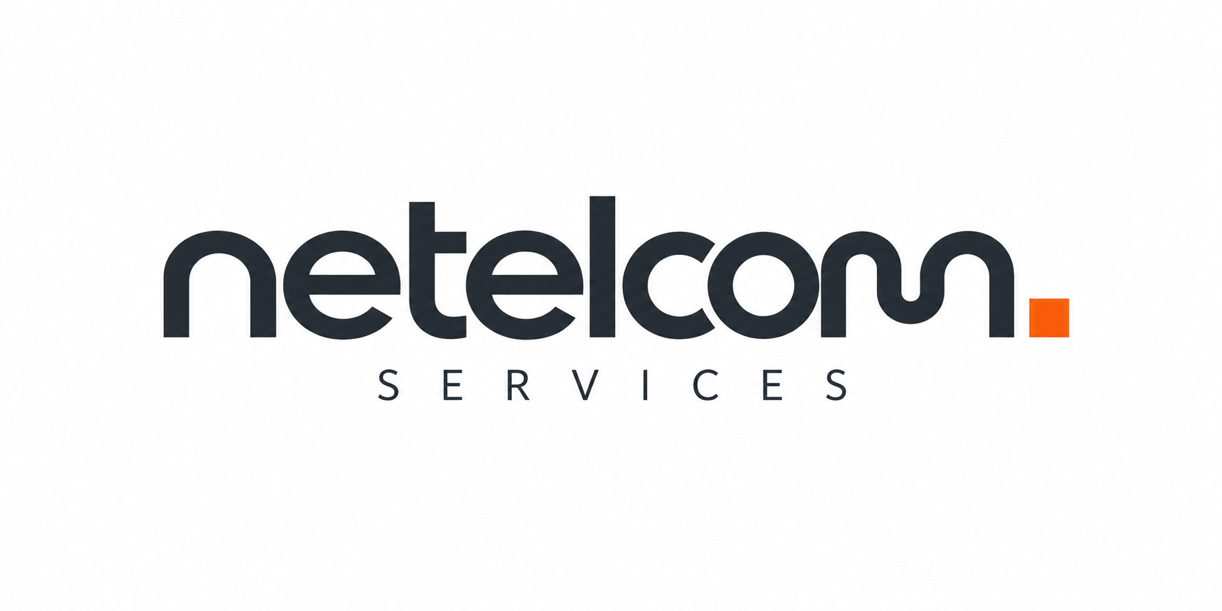 Netelcom Services (NT&S)